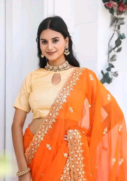 GABANI FASHION CUTWORK  MIRROR SAREE